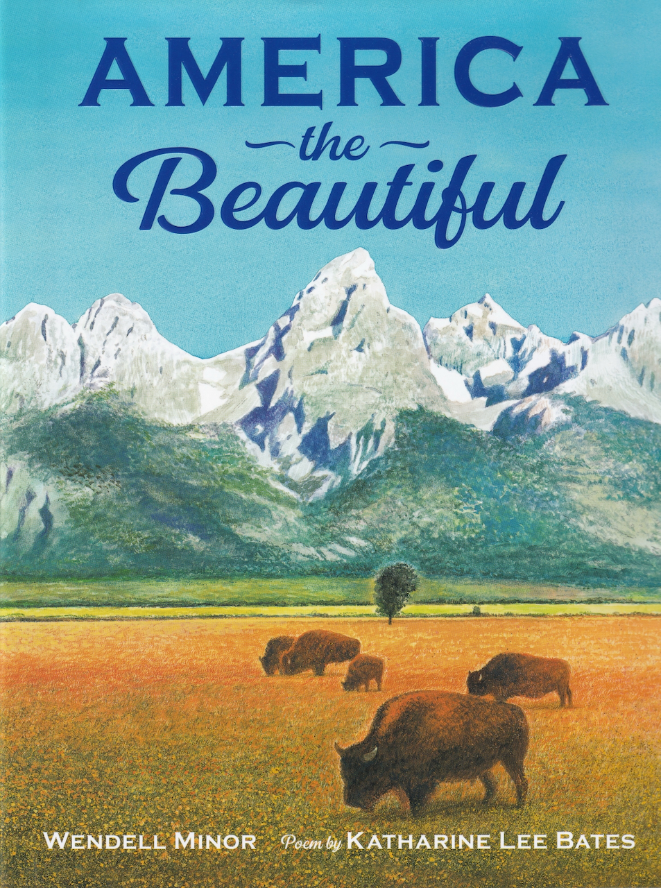 book cover america