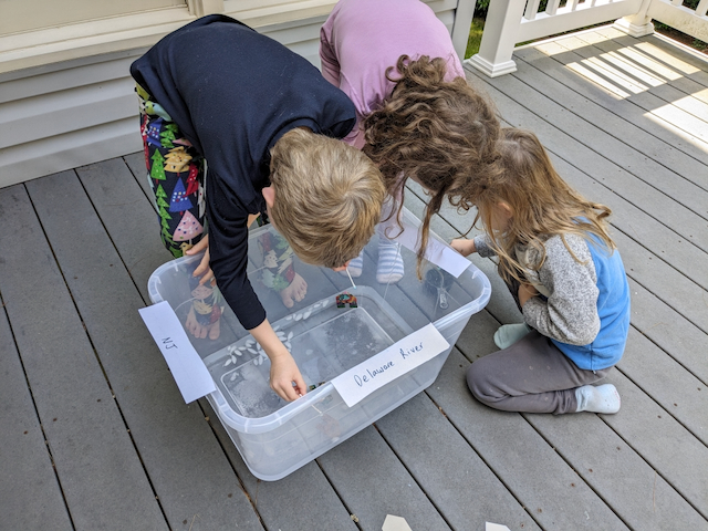 image of science experiment