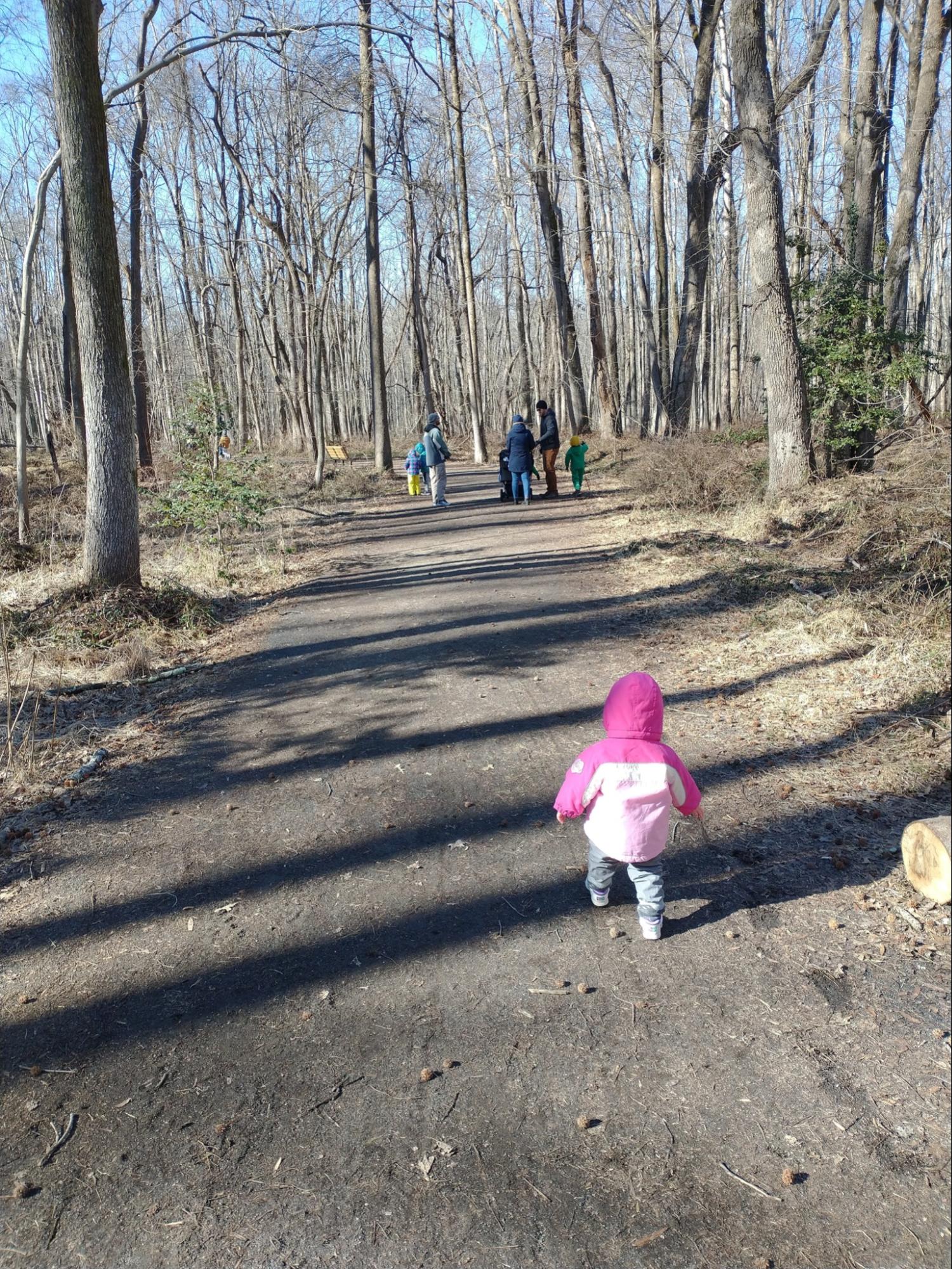 Young child hiking down a wooded path