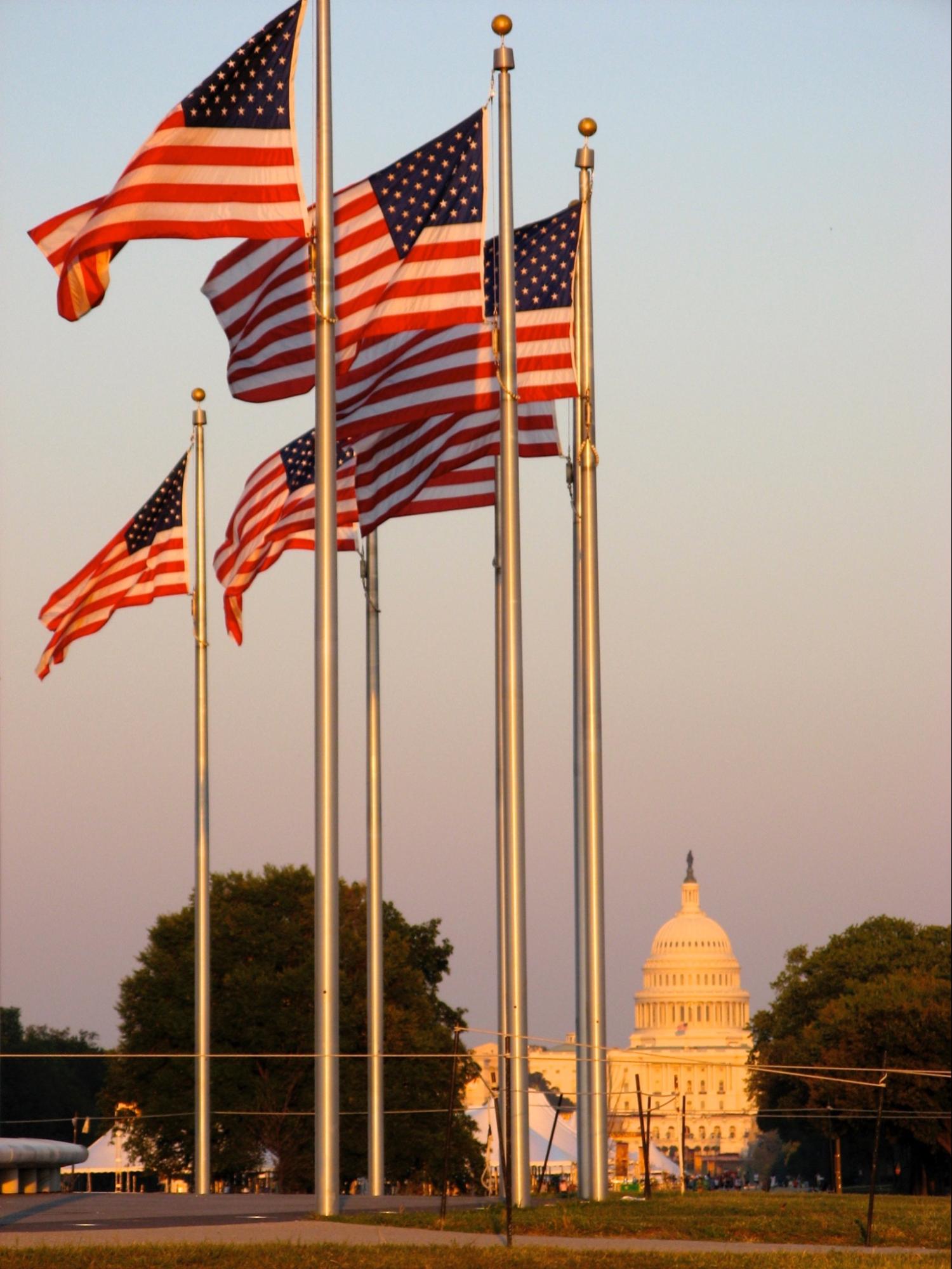 Flags in front of the capitol dome