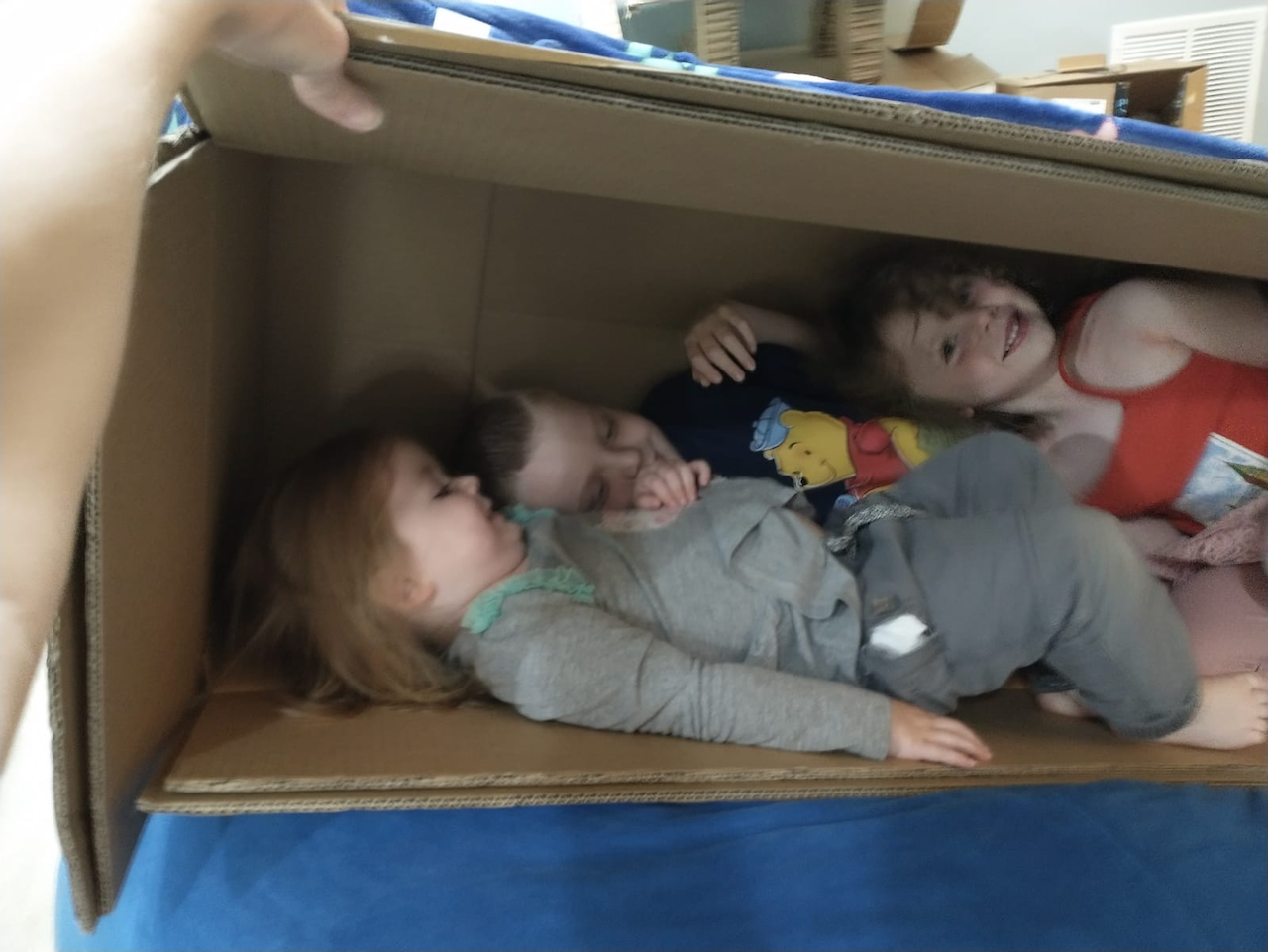 Steerage in a box