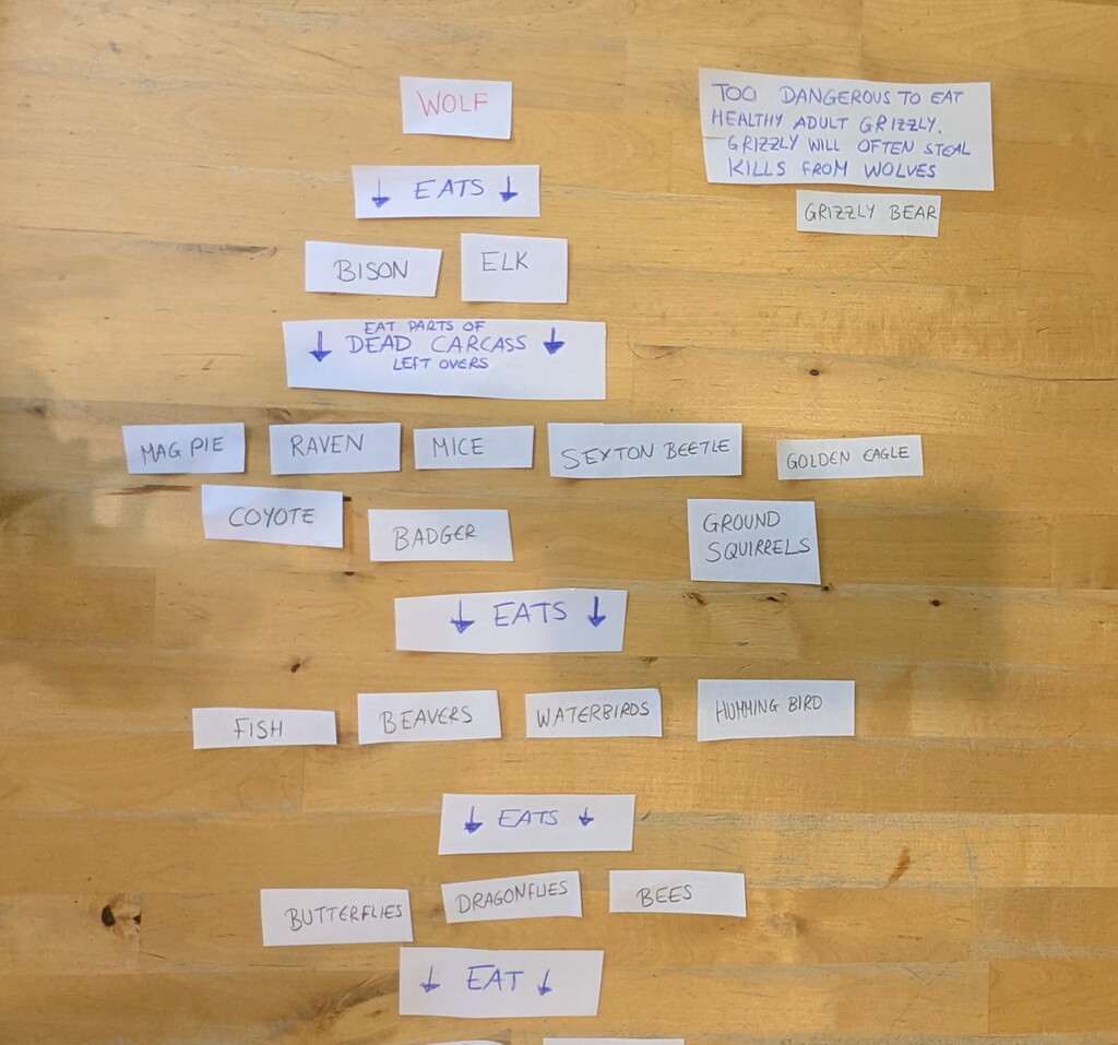 foodweb