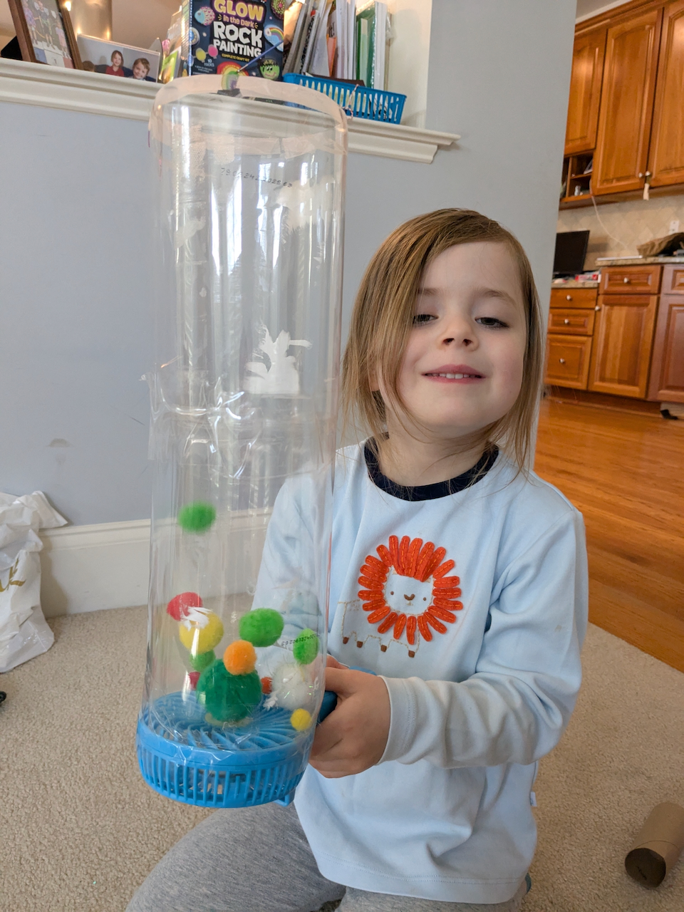 Emily's wind tunnel