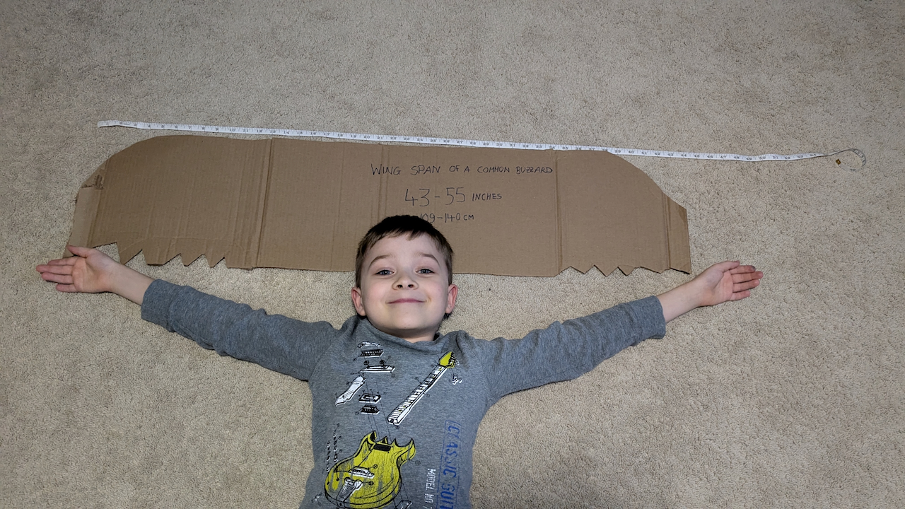 cardboard buzzard wings