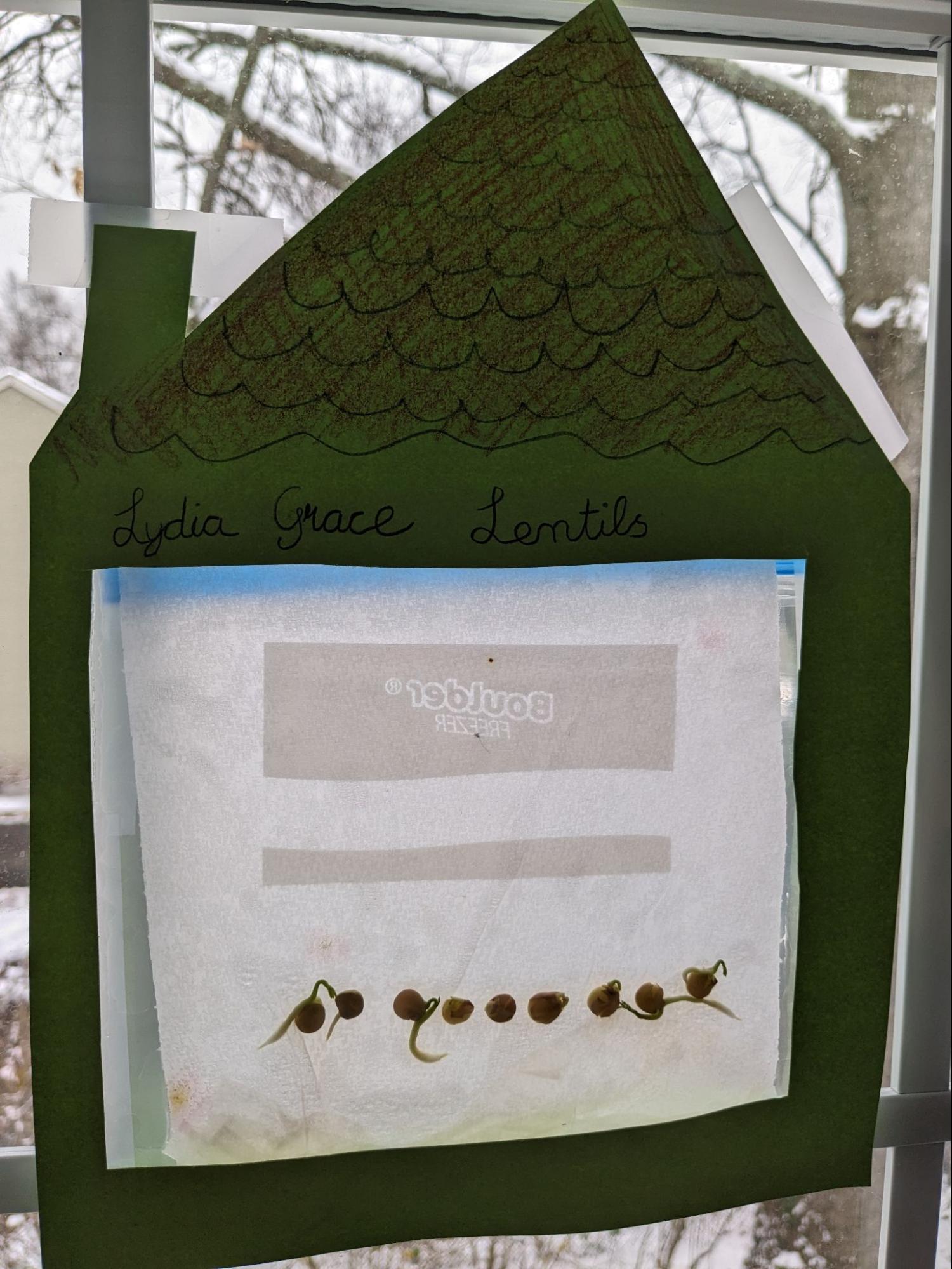 Example of greenhouse